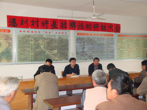 潘村镇潘村村举行无职党员评星挂牌评议会-明光先锋网