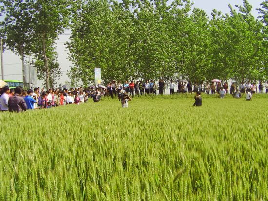 明光先锋网-市种子管理站举办2012年新型农民