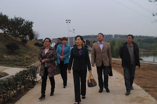 滁州市妇联来三界镇检查验收美丽家园项目工作-明光