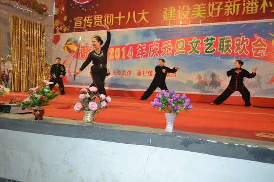 潘村镇举办宣传党的"十八大"精神,迎新年专场文艺演出