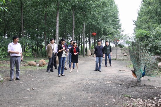 选派干部到村     三界镇梅郢村滁州市委组织部选派干部紧紧抓住省