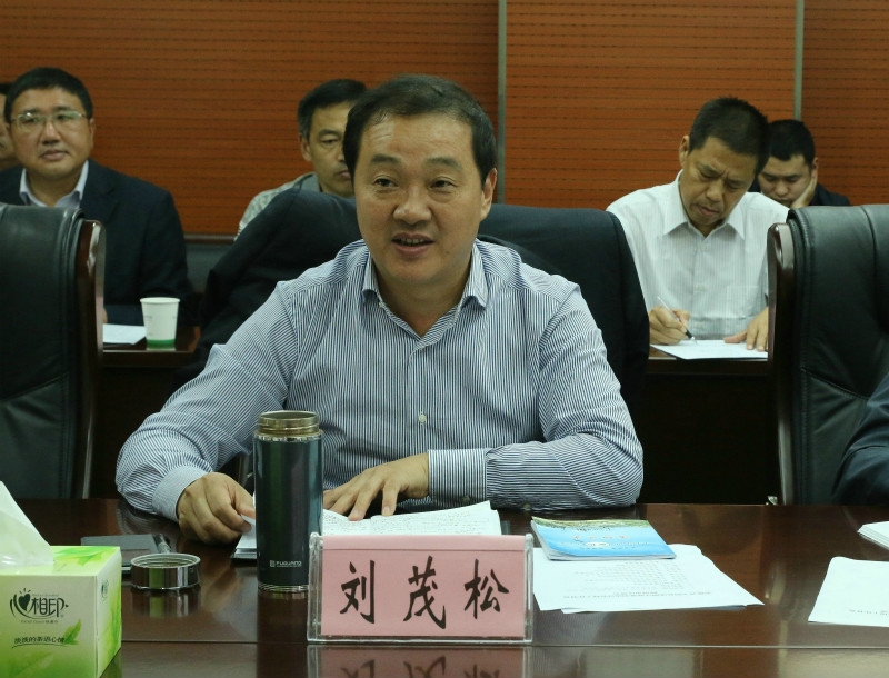 滁州市副市长刘茂松作表态发言