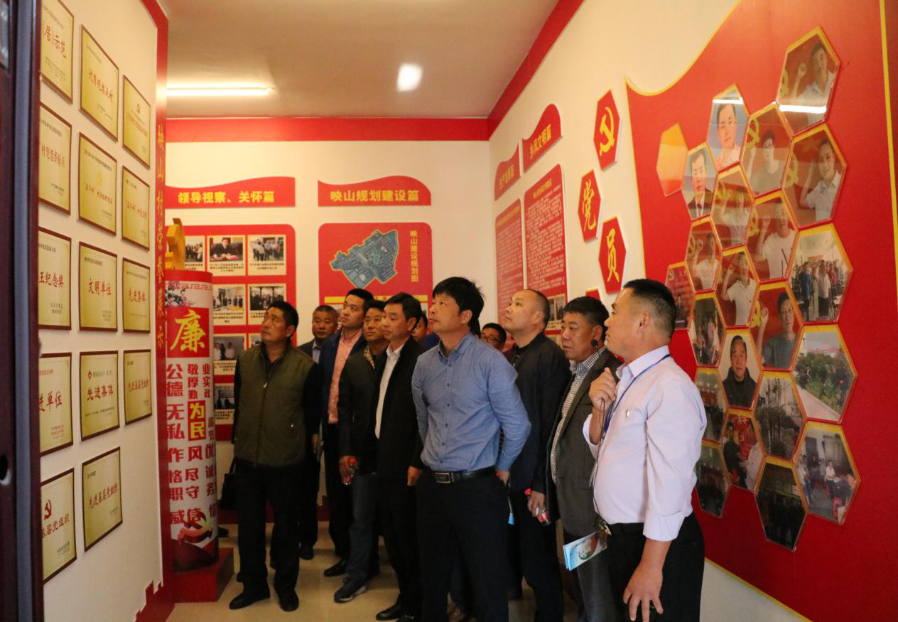 明光街道映山村组织引领发展党建促进振兴